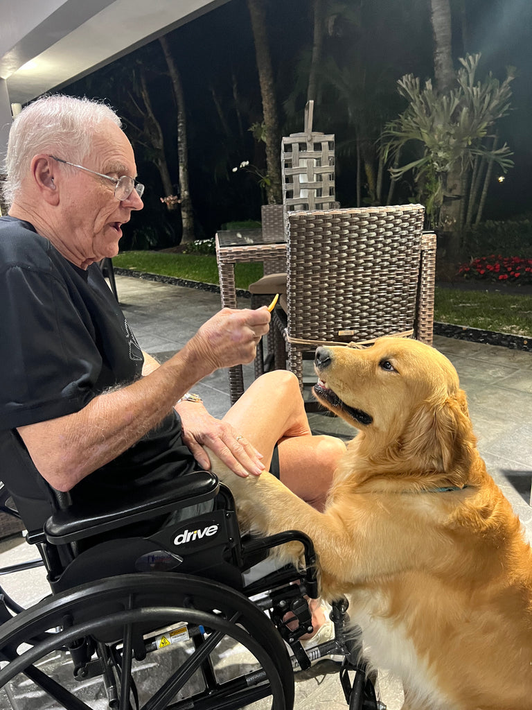 Senior's Enjoy A PAWSitive Experience with Dogs!