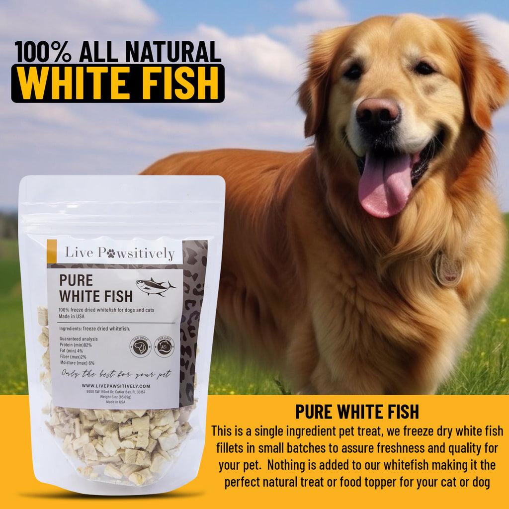 Live Pawsitively Freeze Dried Minnows for Dogs and Cats 2oz