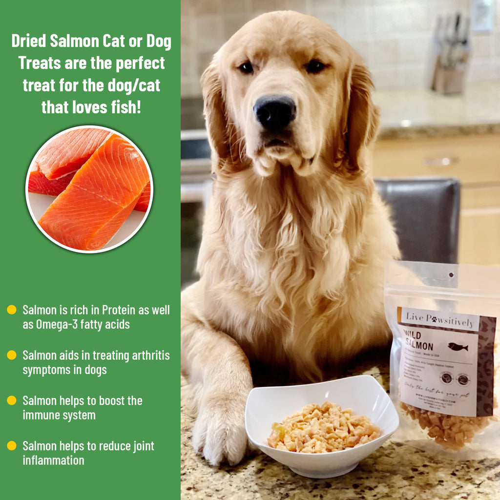 Fish Dried Salmon Dog Treats Wild Salmon - Main Image