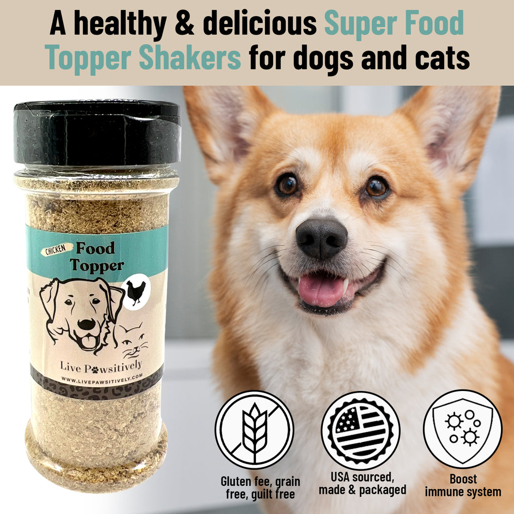 Top 5 Reasons Why Food Toppers are Great For your Pet! | Live Pawsitively
