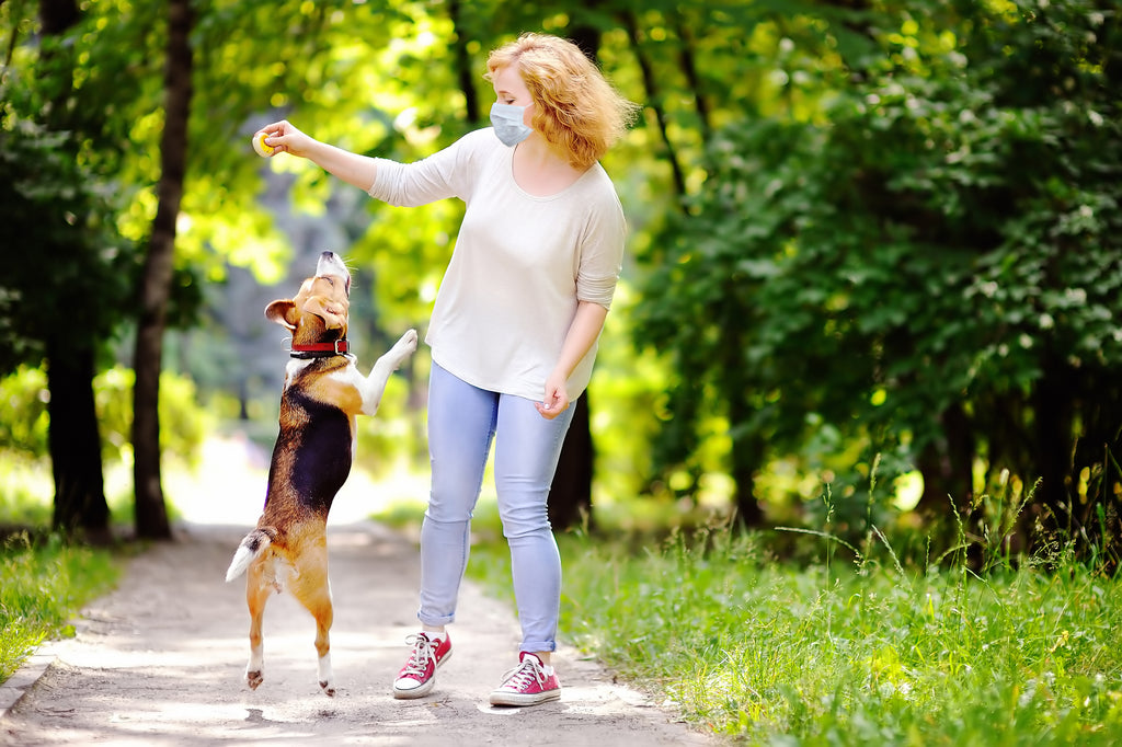 How owning a Pet has helped During the Covid-19 Pandemic