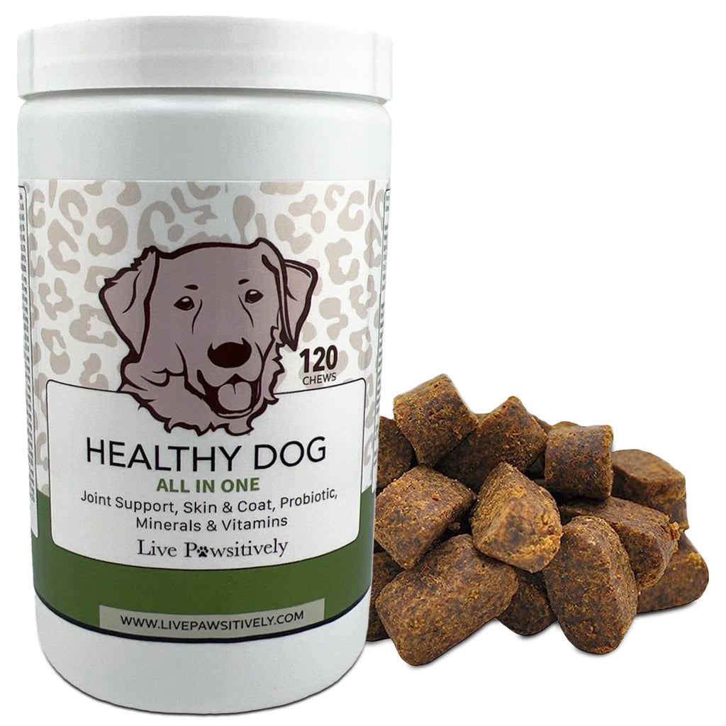 Healthy Dog All in One Supplement, Multivitamin, Joint Support, Digestion, Skin, Coat, Omega 3,6,9.  Made in USA