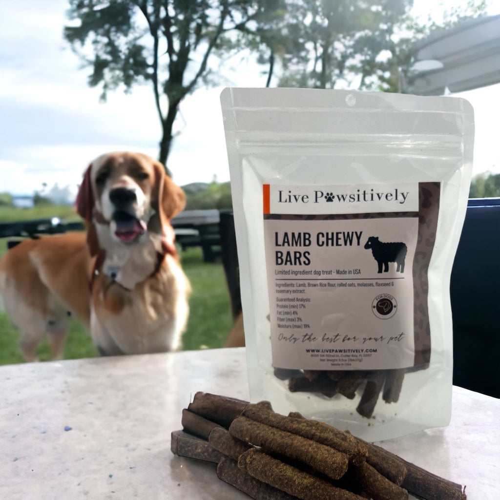 Lamb Chewy Bars soft limited ingredient dog treat, Made in USA