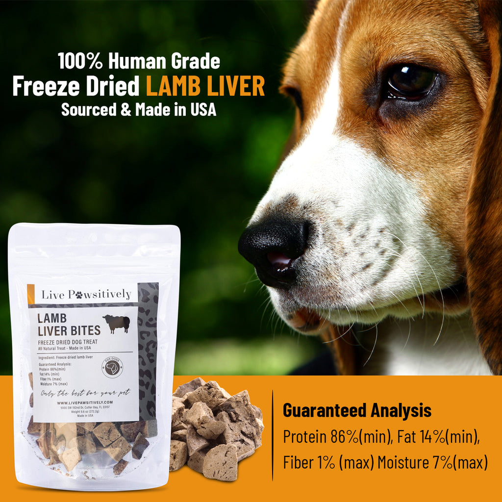 Live Pawsitively Lamb Liver, freeze dried Lamb liver for Dogs & Cats, Made in USA, 4 oz
