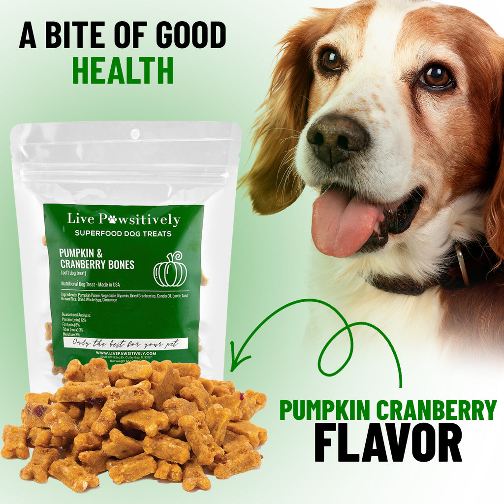 Pumpkin and Cranberry (soft limited ingredient dog treat made in USA)