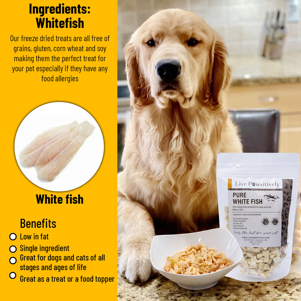 Live Pawsitively Freeze Dried Minnows for Dogs and Cats 2oz