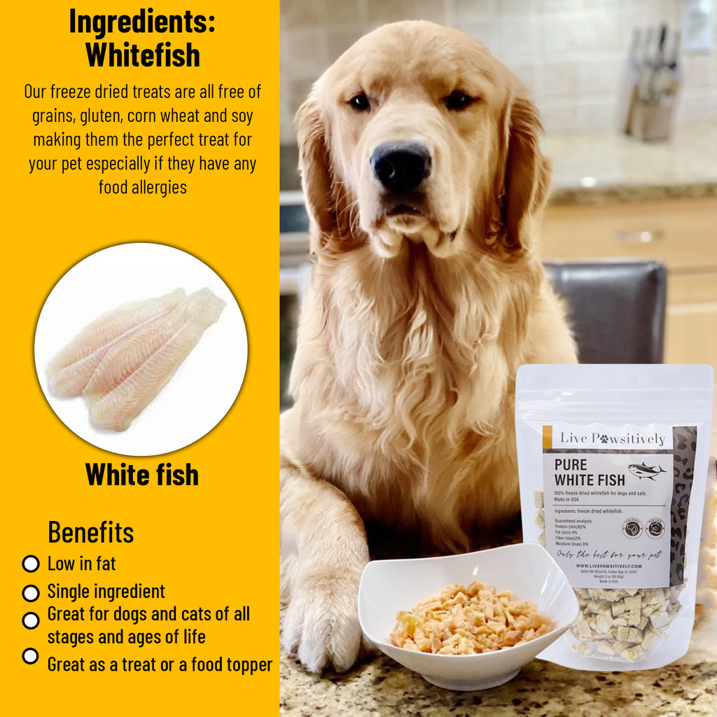 Live Pawsitively Pure White Fish Single ingredient dog/cat treat 3oz, Made in USA
